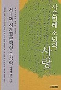 사슴벌레 소년의 사랑(사계절1318문고 27)
