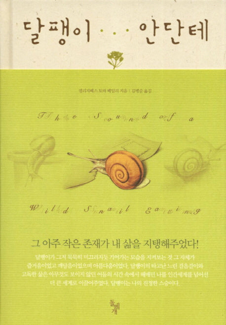 달팽이 안단테(양장본 HardCover)