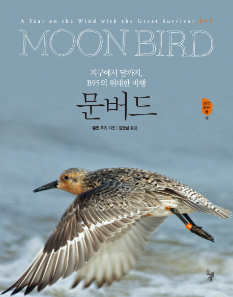 문버드(생각하는 돌 12)