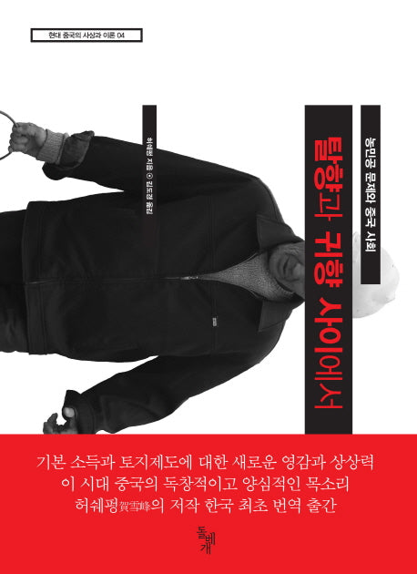 탈향과 귀향 사이에서(현대 중국의 사상과 이론 4)