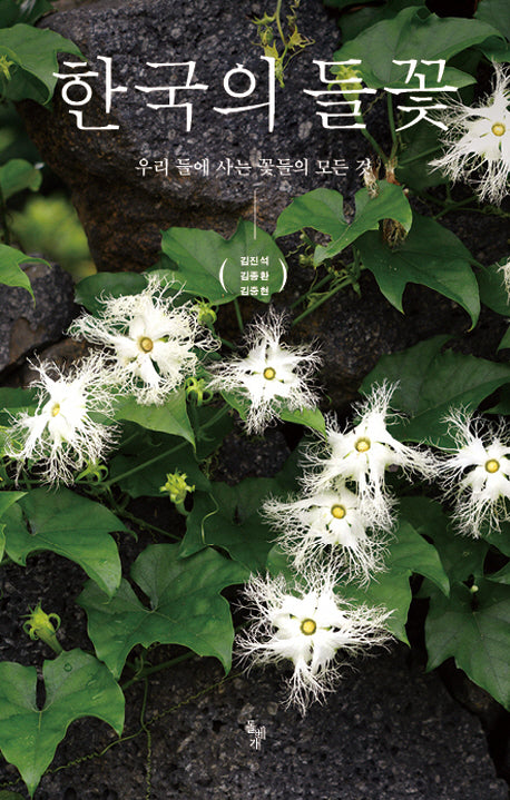 한국의 들꽃(반양장)
