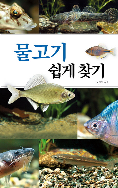 물고기 쉽게 찾기(호주머니 속의 자연)(반양장)