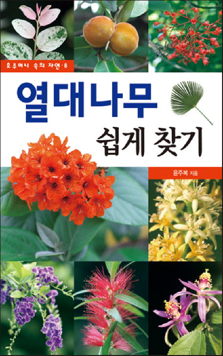 열대나무 쉽게 찾기(호주머니 속의 자연 8)