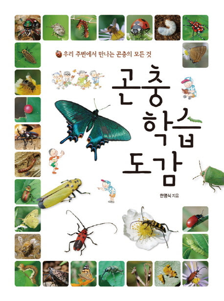 곤충 학습 도감(양장본 HardCover)