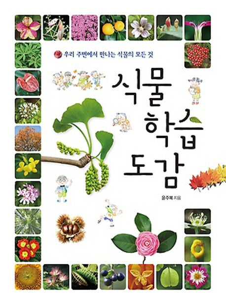 식물 학습 도감(양장본 HardCover)