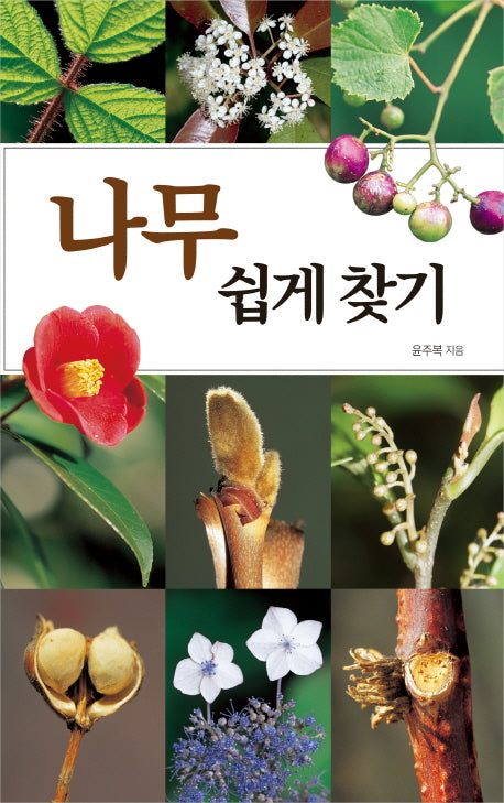 나무 쉽게 찾기(호주머니 속의 자연)(반양장)