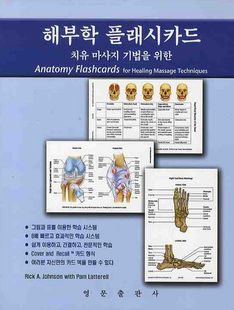해부학 플래시카드(치유 마사지 기법을 위한)