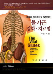 볼기근 강화 치료법(통증과 기능이상을 일으키는)