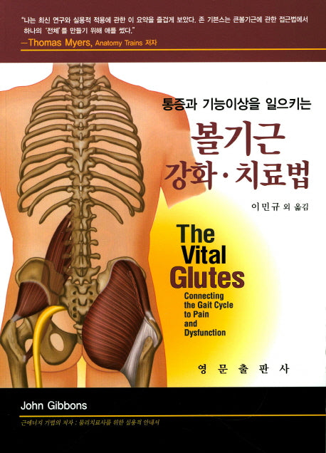 볼기근 강화 치료법(통증과 기능이상을 일으키는)