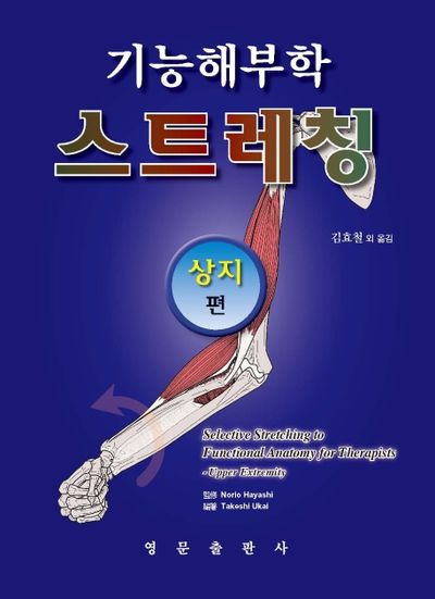 기능해부학 스트레칭: 상지편