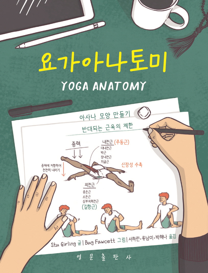 요가아나토미