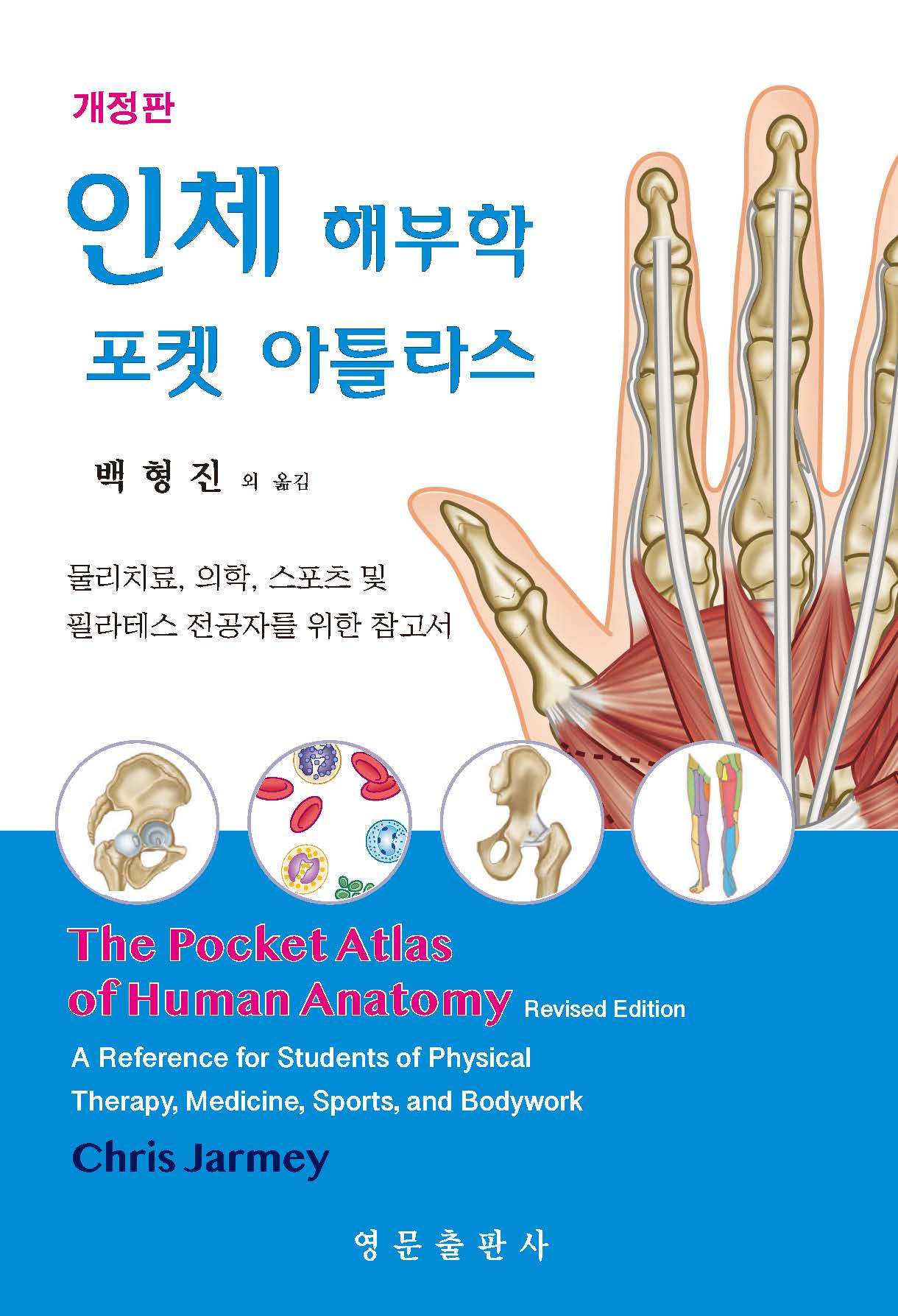 인체 해부학 포켓 아틀라스(개정판)