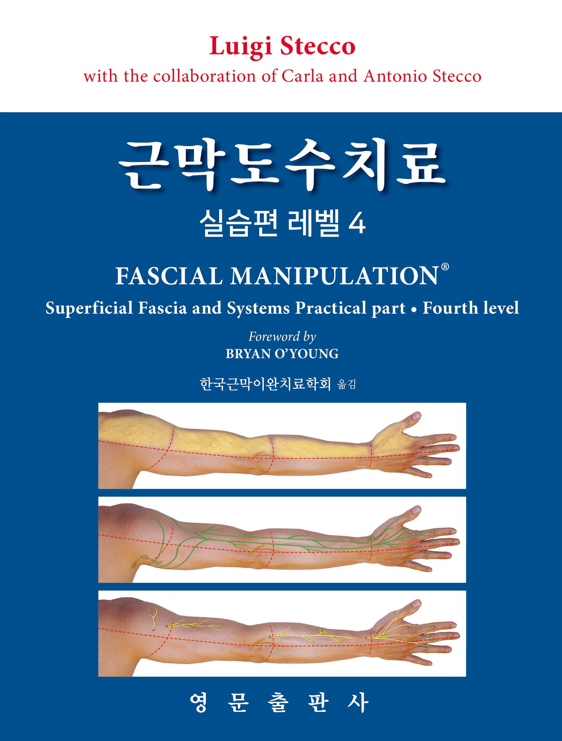 근막도수치료 실습편 레벨4