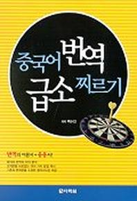 중국어 번역 급소 찌르기