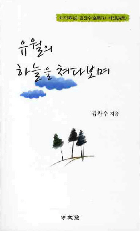 유월의 하늘을 쳐다보며