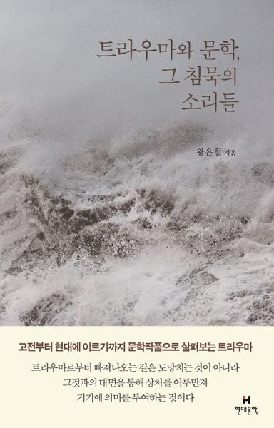 트라우마와 문학, 그 침묵의 소리들(양장본 HardCover)