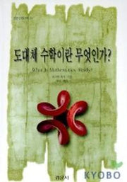 도대체 수학이란 무엇인가(수학산책 24)
