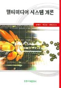 멀티미디어 시스템 개론