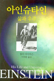 아인슈타인: 삶과 우주