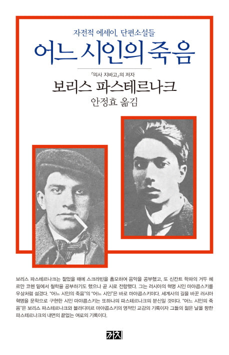 어느 시인의 죽음(3판)