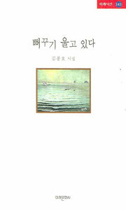 뻐꾸기 울고 있다(미래시선 143)