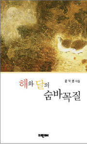 해와 달의 숨바꼭질(미래시선 152)