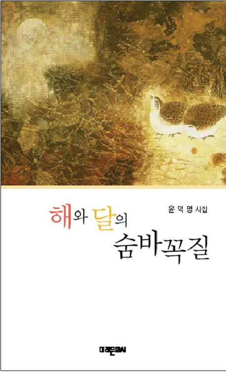 해와 달의 숨바꼭질(미래시선 152)