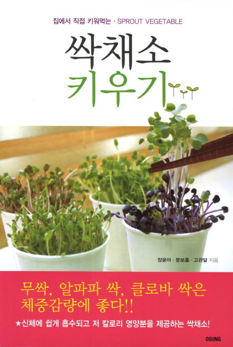 싹채소 키우기