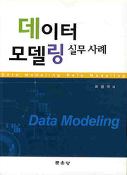 데이터 모델링 실무사례
