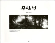 공산성(양장본 HardCover)