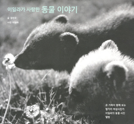 이일라가 사랑한 동물 이야기