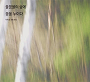 불문율의 숲에 몸을 누이다
