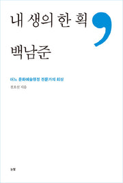 내 생의 한 획, 백남준