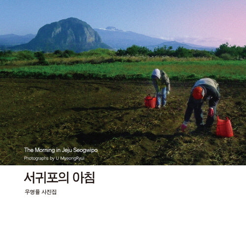 서귀포의 아침