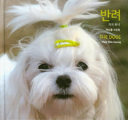 반려(반양장)