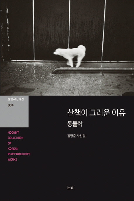 산책이 그리운 이유 동물학(눈빛사진가선 4)