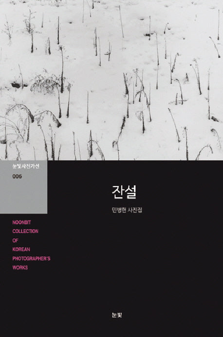 잔설(눈빛사진가선 6)