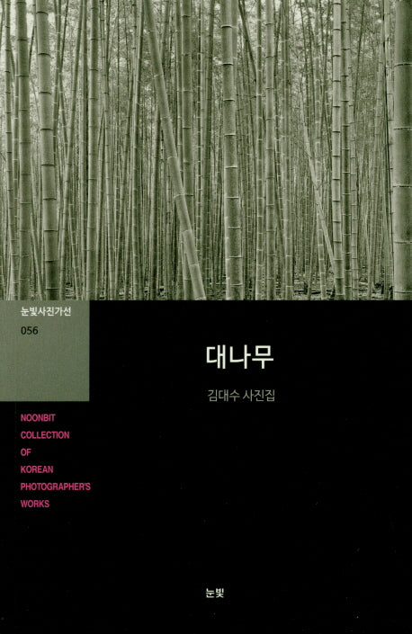 대나무(눈빛사진가선 56)