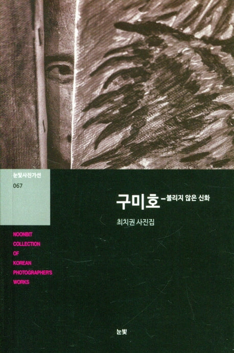 구미호(눈빛사진가선 67)