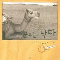 꿈꾸는 낙타