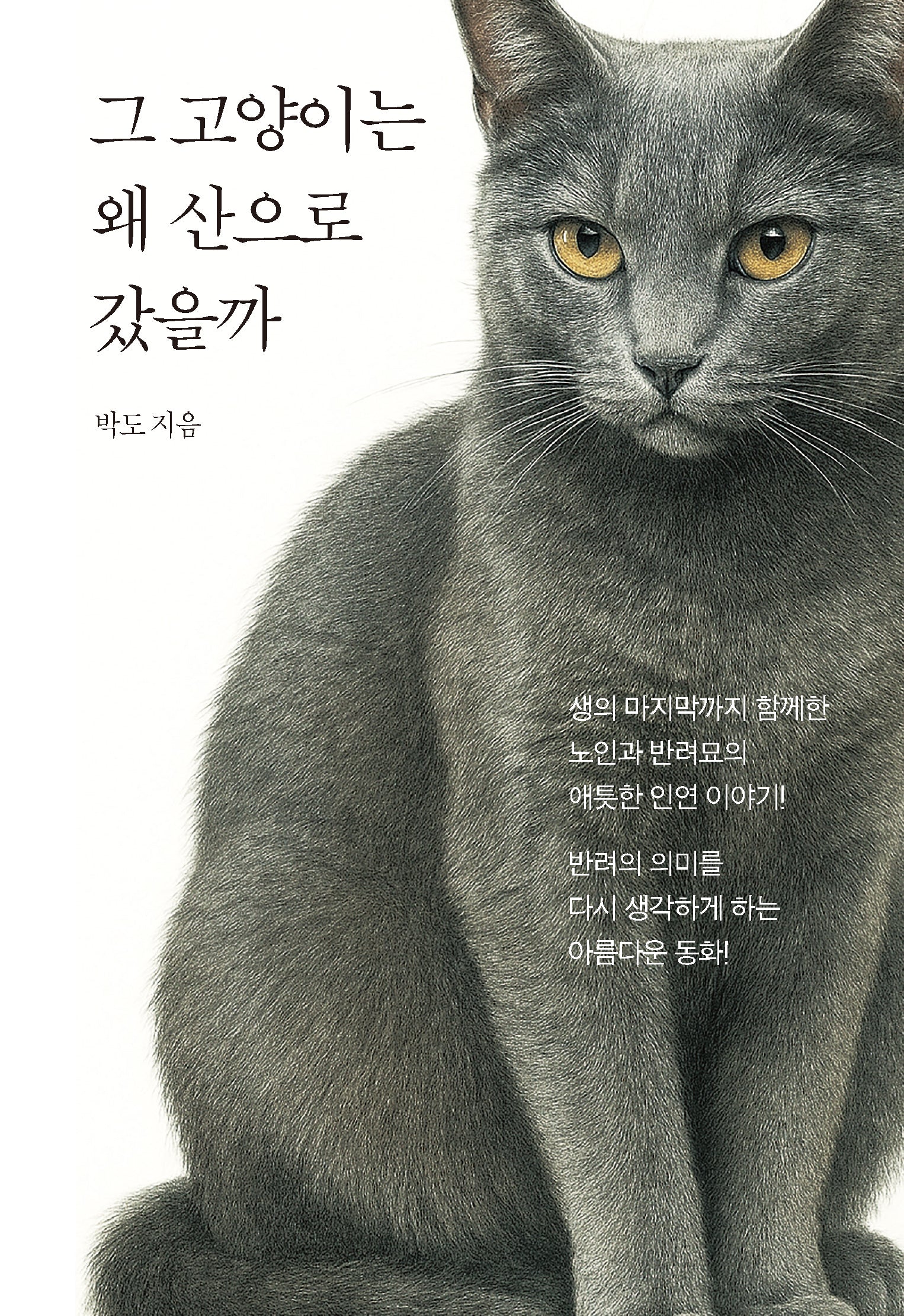 그 고양이는 왜 산으로 갔을까