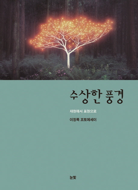 수상한 풍경
