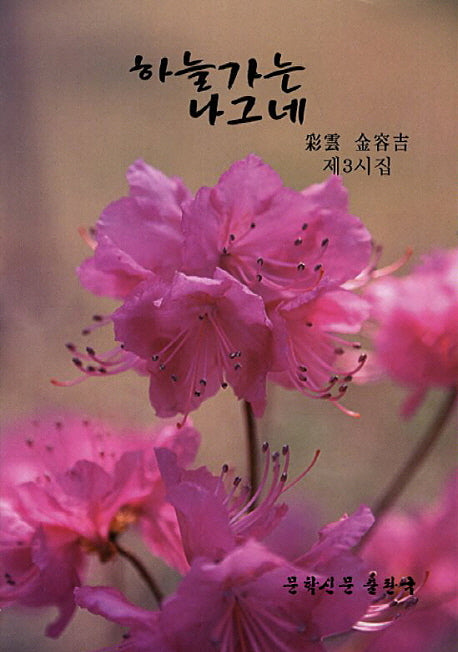 하늘가는 나그네