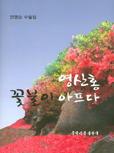 영산홍 꽃불이 아프다