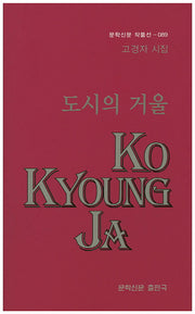 도시의 거울(문학신문 작품선 89)