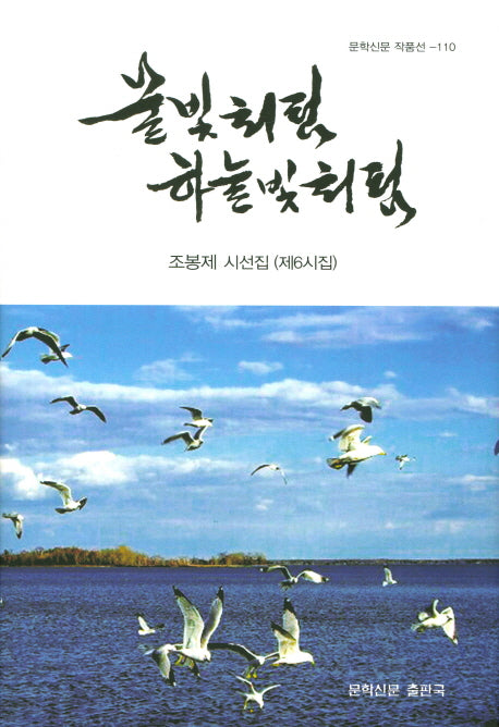 물빛처럼 하늘빛처럼(문학신문 작품선 110)(양장본 Hardcover)