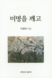 미명을 깨고(문학신문 작품선 142)