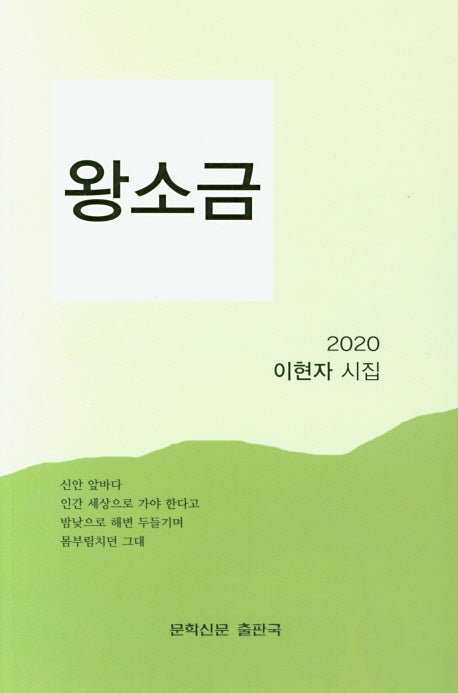 왕소금(문학신문 작품선 161)