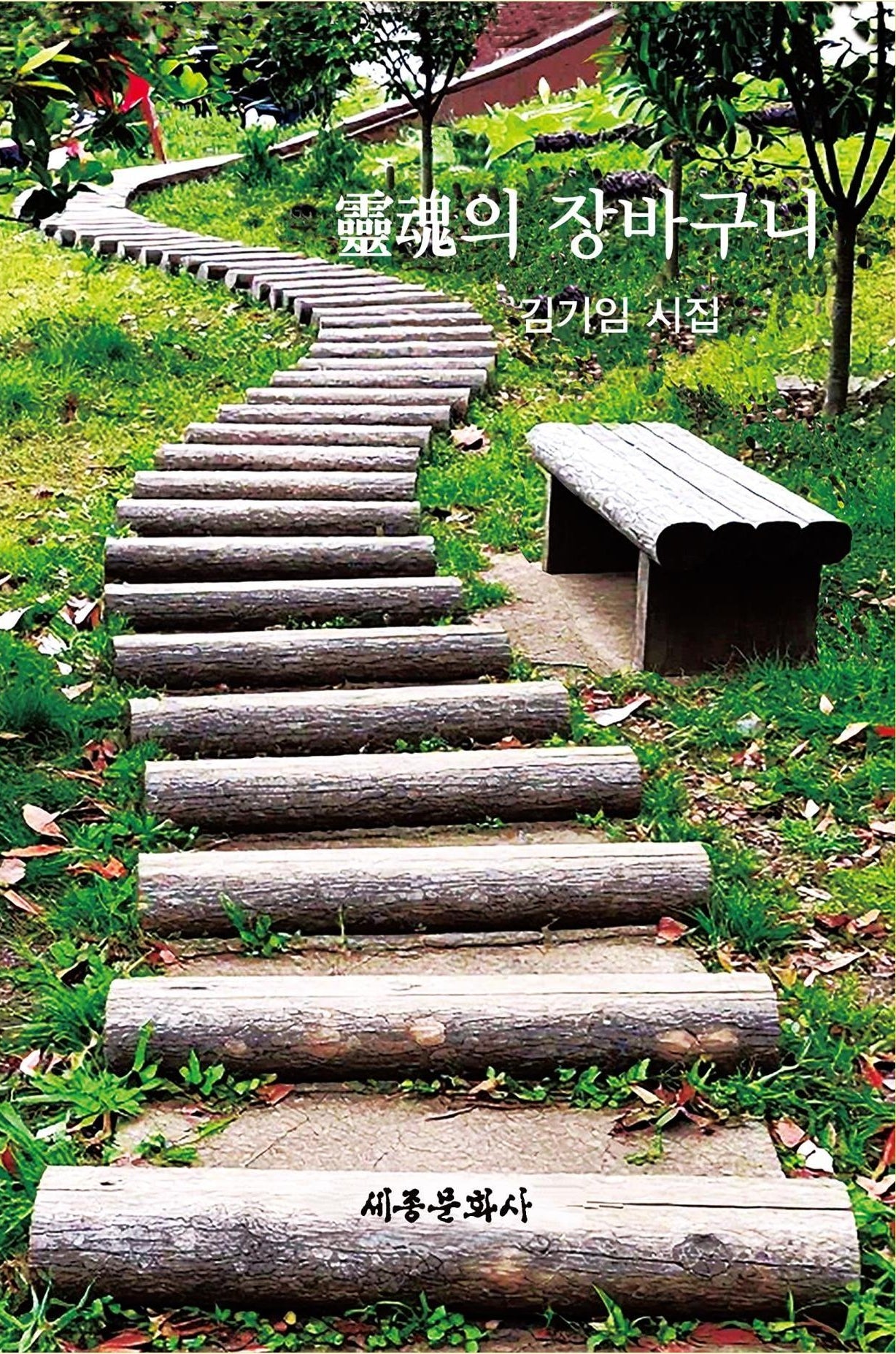 영혼의 잘바구니(세종문화사 작품선 226)