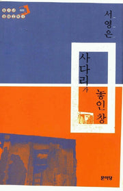 사다리가 놓인 창(청소년 현대문학선 22)